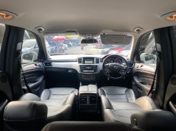 Mercedes-Benz ML 250 CDI 2015 7