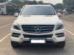 Mercedes-Benz ML 250 2015