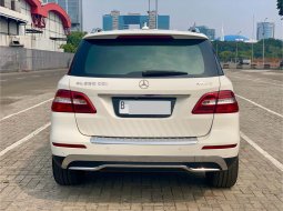 Mercedes-Benz M-Class ML 250 2015 Putih 6