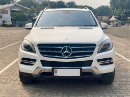 Mercedes-Benz M-Class ML 250 2015 Putih 1