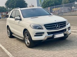 Mercedes-Benz M-Class ML 250 2015 Putih 2