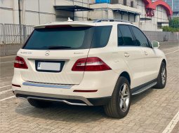 Mercedes-Benz M-Class ML 250 2015 Putih 5