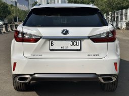 Lexus RX 300 Luxury 2018 SUV 5