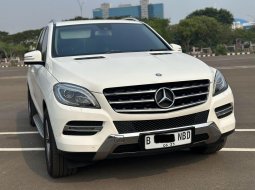 MERCEDES-BENZ M250 AT PUTIH 2015 LULUS INSPEKSI!! HARGA TERMURAH!!