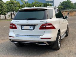 Mercedes-Benz M-Class ML 250 Diesel 2015 3