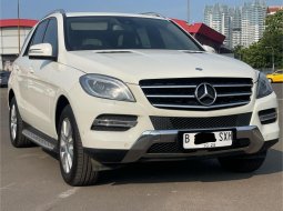 Mercedes-Benz M-Class ML 250 2013 ANTIK TERAWAT