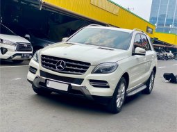 Mercedes-Benz M-Class ML 250 2013 Putih