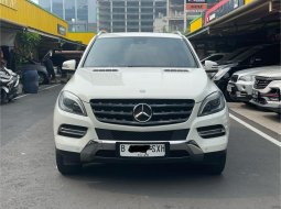 Mercedes-Benz M-Class ML 250 2013 SUV 2