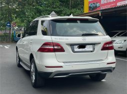 Mercedes-Benz M-Class ML 250 2013 SUV 5