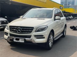 Mercedes-Benz M-Class ML 250 2013 SUV 3