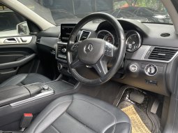 Mercedes-Benz M-Class ML 250 2013 SUV 12