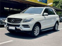 Jual mobil Mercedes-Benz M-Class 2013