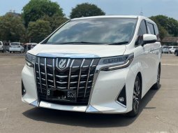 ALPHARD G ATPM AT PUTIH 2020 TURUN HARGA KHUSUS AKHIR TAHUN