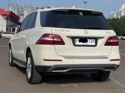 MERCY ML250 CDI AT PUTIH 2013 DIJUAL CEPAT MURAH 6