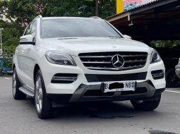 MERCY ML250 CDI AT PUTIH 2015 DIJUAL CEPAT TERMURAH