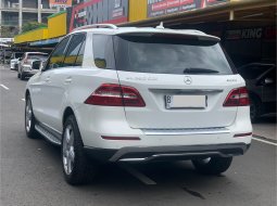 MERCY ML250 CDI AT 2015 PUTIH 6