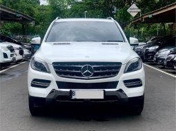 MERCY ML250 CDI AT 2015 PUTIH 2