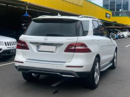 MERCY ML250 CDI AT 2015 PUTIH 4