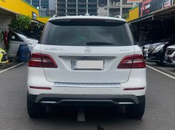 MERCY ML250 CDI AT 2015 PUTIH 5