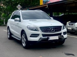 MERCY ML250 CDI AT 2015 PUTIH 1