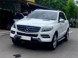 MERCY ML250 CDI AT 2015 PUTIH 3