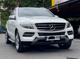 MERCY ML250 2015 AT PUTIH DIJUAL CEPAT MURAH