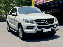 PROMO TERCEPAT‼️ Mercedes-Benz M-Class ML 250 2013 SUV