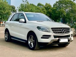 Mercedes-Benz M-Class ML 250 2015