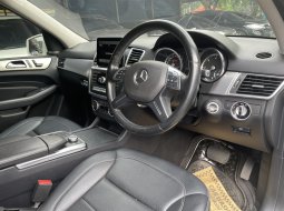 Mercedes-Benz M-Class ML 250 2013 SUV 11