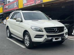 Mercedes-Benz M-Class ML 250 2013 SUV 2