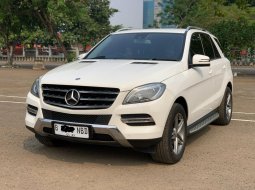 Mercedes-Benz M-Class ML 250 2015 SUV 3