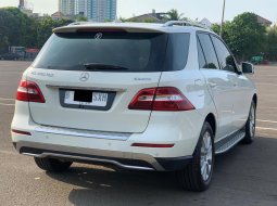 MERCY ML250 CDI AT PUTIH 2013 4