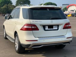 MERCY ML250 CDI AT PUTIH 2013 6