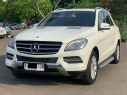 MERCY ML250 CDI AT PUTIH 2013 3