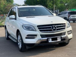 MERCY ML250 CDI AT PUTIH 2013 2