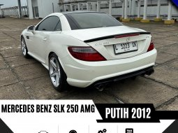 Mercedes-Benz SLK SLK 250 2012 4