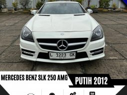 Mercedes-Benz SLK SLK 250 2012 5