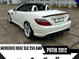 Mercedes-Benz SLK SLK 250 2012