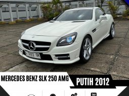 Mercedes-Benz SLK SLK 250 2012 9