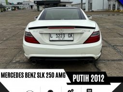 Mercedes-Benz SLK SLK 250 2012 8