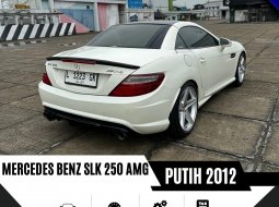 Mercedes-Benz SLK SLK 250 2012 6