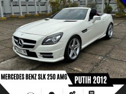 Mercedes-Benz SLK SLK 250 2012 7
