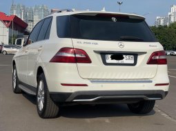 MERCY ML250 CDI AT 2013 TERAWAT DIJUAL CEPAT TERMURAH 6