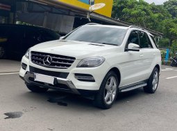 Mercedes-Benz M-Class ML 250 2015 Putih 2