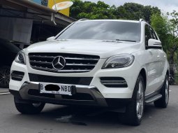 MERCY ML250 CDI AT PUTIH 2015 SIAP PAKAI TERMURAH