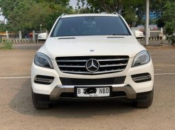 Mercedes-Benz M-Class ML 250 2013 SUV