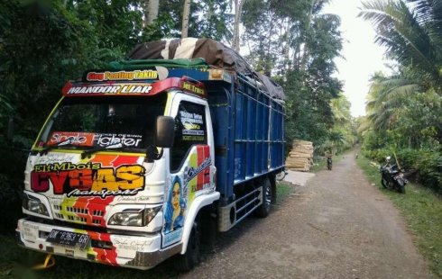 Jual mobil Isuzu Elf Truck Diesel 2009 bekas, Jawa Timur 4099667