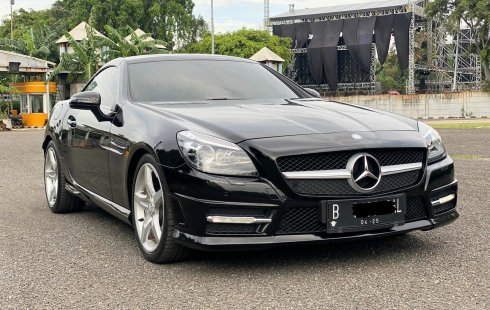 Mercedes-Benz SLK SLK 250 2013 Convertible