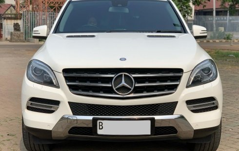 Mercedes-Benz M-Class ML 250 2013