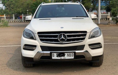 Mercedes-Benz M-Class ML 250 2015 SUV